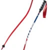 Swix WorldCup Pro DH Carbon -Negozio Di Attrezzatura Da Sci 19 wc pro dh carbon AC125 00