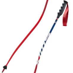 Swix WorldCup Pro DH Carbon