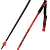Rossignol Hero GS/SG Poles -Negozio Di Attrezzatura Da Sci 22 hero gs sg RDL1020