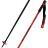 Rossignol Hero SL Poles -Negozio Di Attrezzatura Da Sci 22 hero sl RDL1030