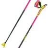 Leki HRC Max FRT Neonpink/neonyellow/black -Negozio Di Attrezzatura Da Sci 22 hrc max frt 652400092