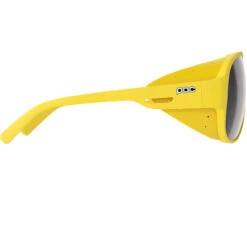 POC Nivalis Aventurine Yellow/grey/white Mirror -Negozio Di Attrezzatura Da Sci 22 nivalis NI1001 1328 1