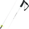 Head Worldcup Rebels Carbon Poles -Negozio Di Attrezzatura Da Sci 22 wc rebels carbon 381202